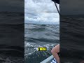 Are These the Most Dangerous Waves at the Beach? 😱 #ocean #beach #fyp #viral #shorts
