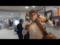 стрижка длинных волос       long hair cutting Kochetkov Anton