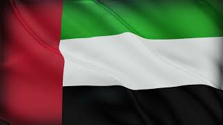 United Arab Emirates Flag Waving | United Arab Emirates Flag Background Video screenshot 4