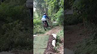 oleng dikit
