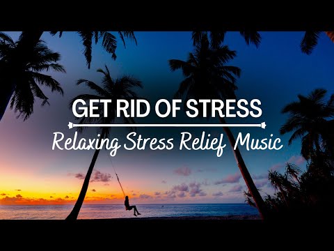 Stress-Free Zone: Calming