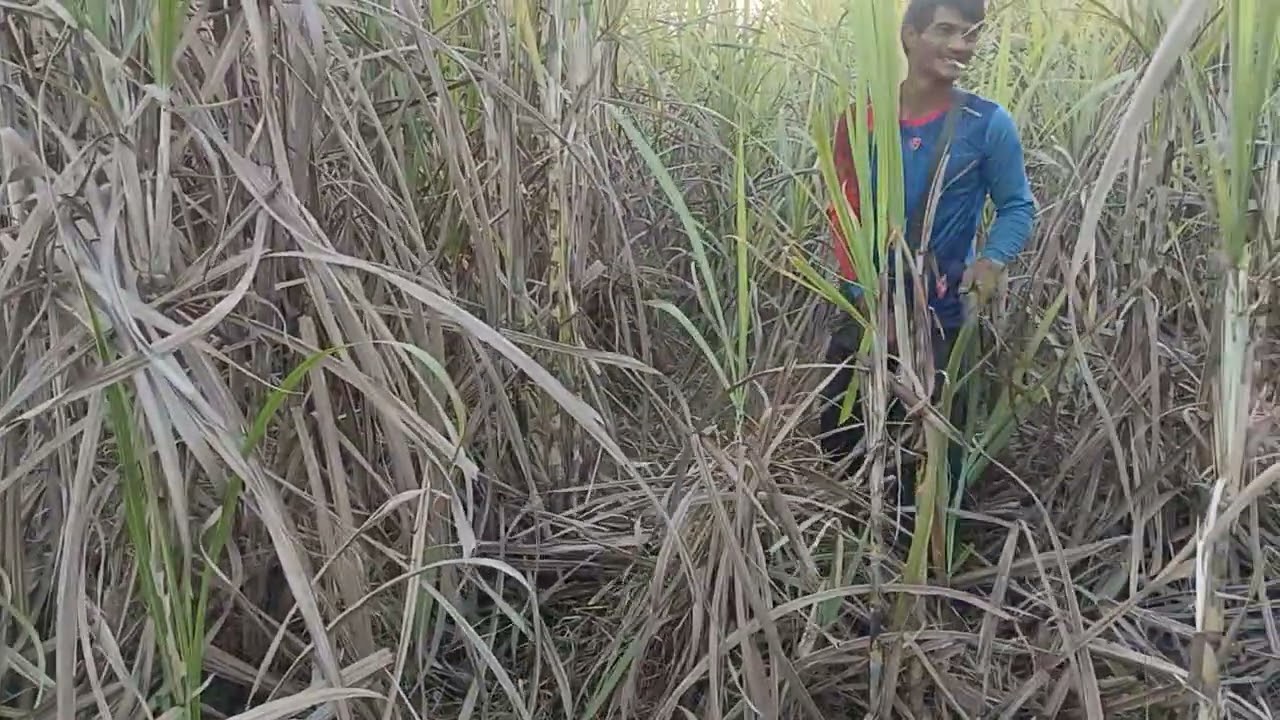 ปีใหม่ยังบอแล้วสื่อเหลื่ยมลุยแล้ว