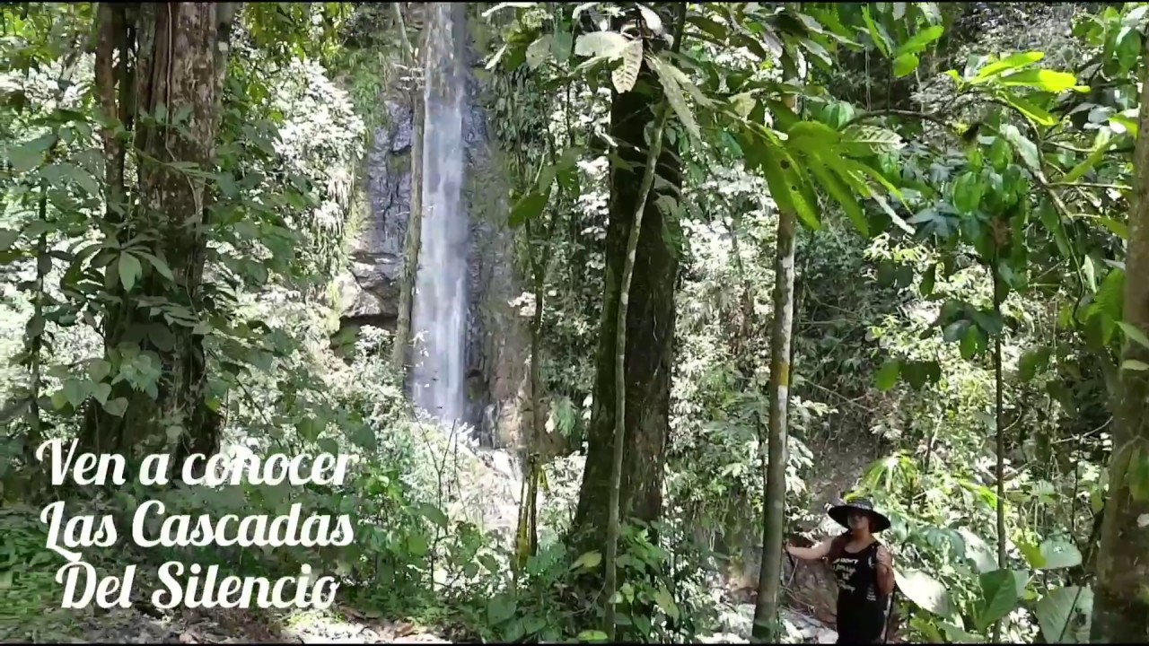 Caminata Cascadas el Silencio por EcoTrips Colombia YouTube