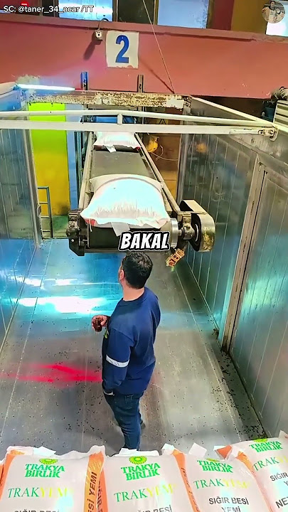 Bosnya Curiga Karyawannya Malas Tapi Hasil Rekamannya Bikin Dia Malu