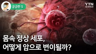 [궁금한S] 몸속 정상 세포, 어떻게 암으로 변이될까? / YTN 사이언스