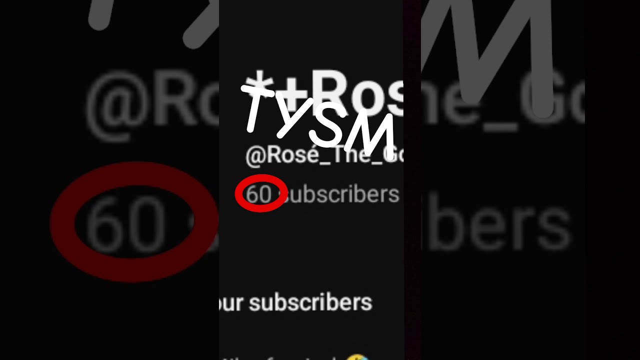 TYSM GUYS Music Haveitoldyoulatelythatiloveyou