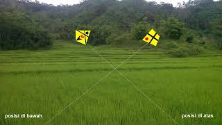 Animasi adu LAYANGAN