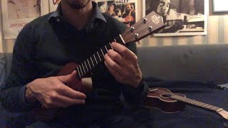 Ukulele comparison - Kiwaya KTS-4 vs Mahimahi S3