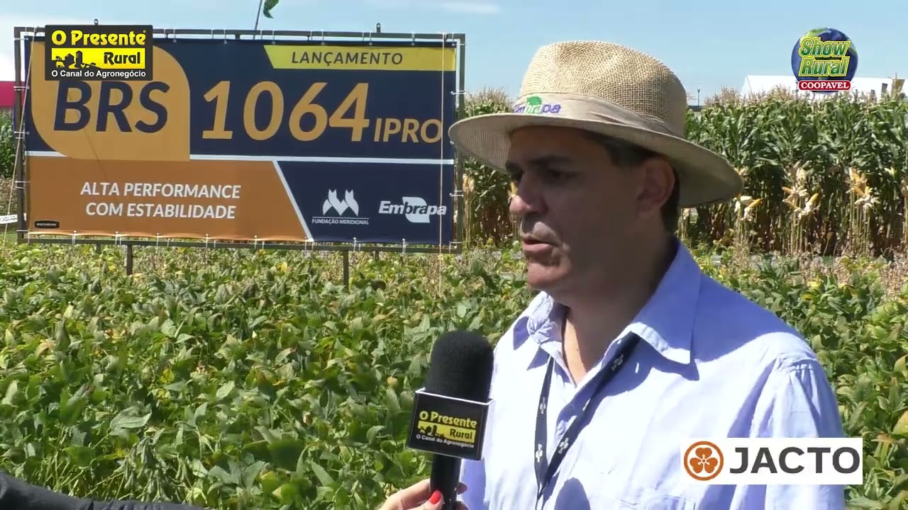 Embrapa lança duas cultivares de soja altamente produtivas