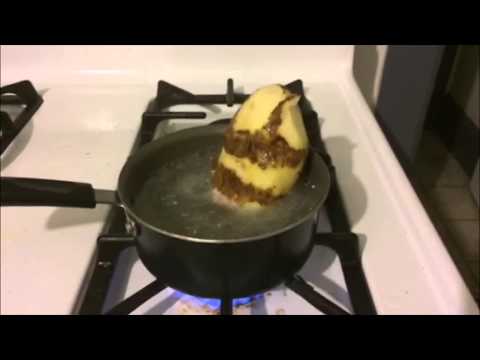 Ida Potato's Daily Adventures