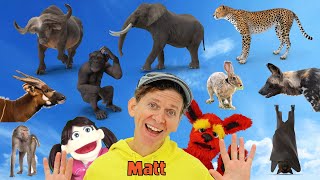 africa wild animals what do you see song find it version dream english kids