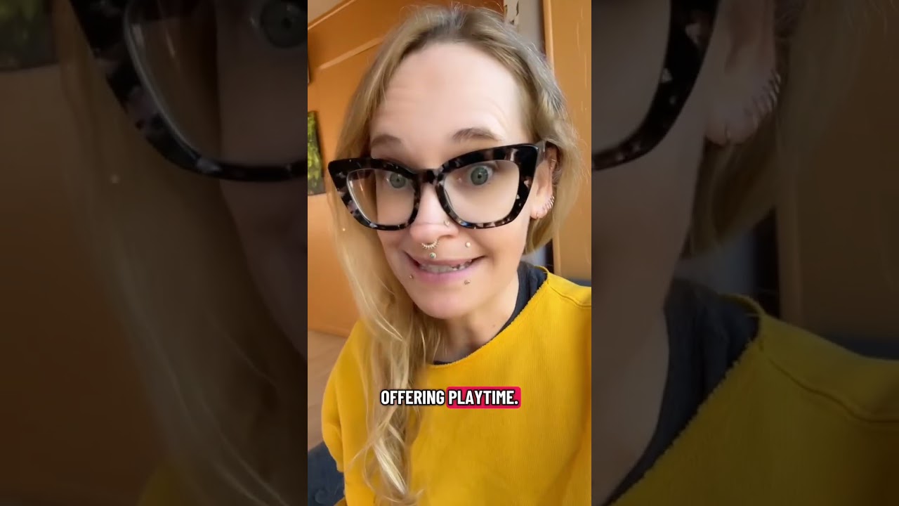 ‼️ Срочное напоминание: играйте со своими кошками!