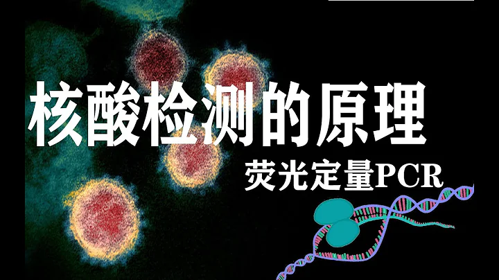 3分钟了解核酸检测的原理——什么是荧光定量PCR - 天天要闻