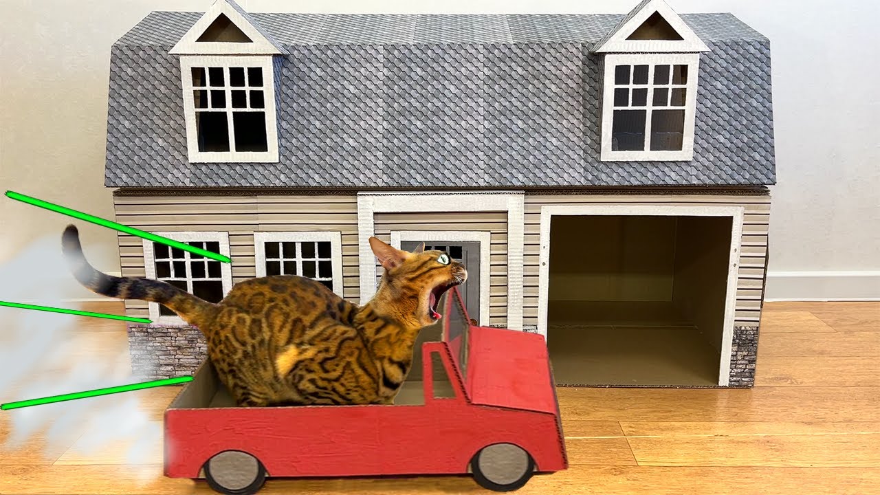 СЕКРЕТНЫЙ дом для КОШКИ из картона своими руками