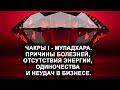 Муладхара. Чакра I. Болезни, отсутствие энергии, одиночество и неудачи в бизнесе.