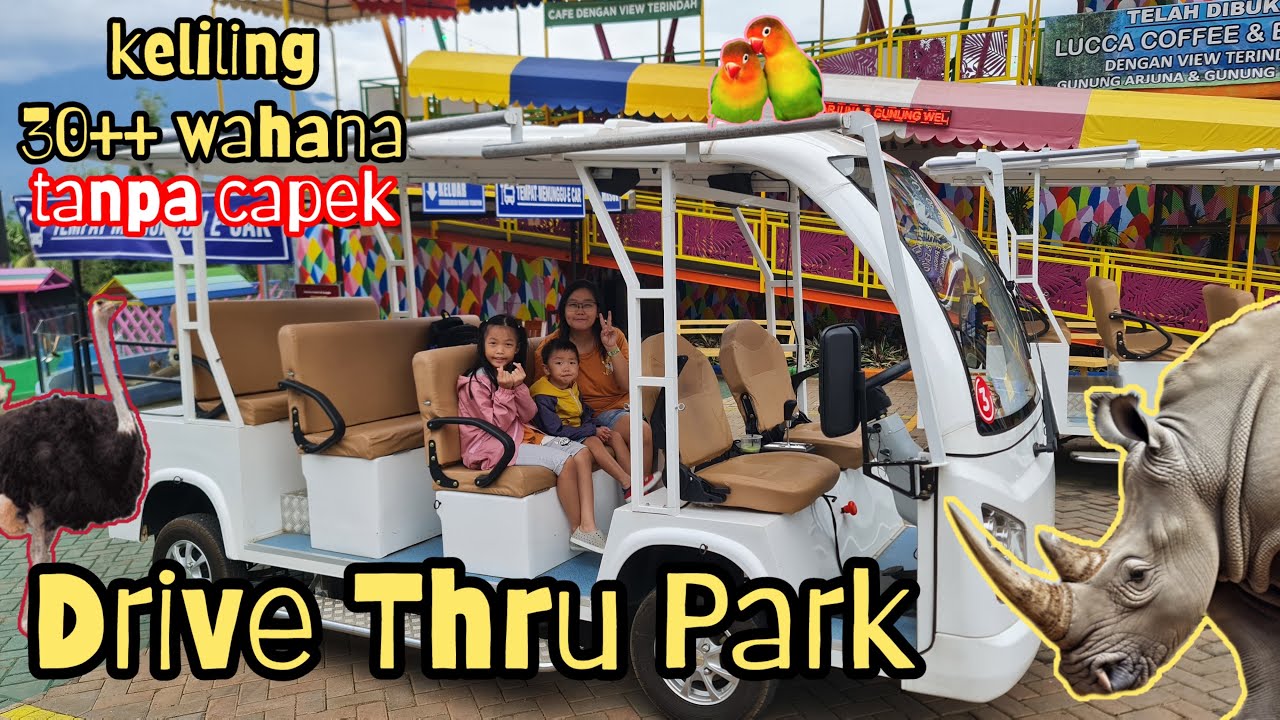 Drive Thru Park | Batu Secret Zoo