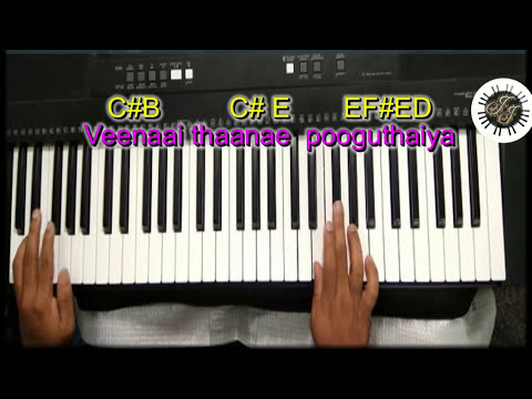 Ummai Pola Yarundu SONG IN KEYBOARD, LEAD, WITH NOTES,Benny Joshua songs