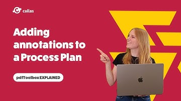 Adding annotations to a process plan