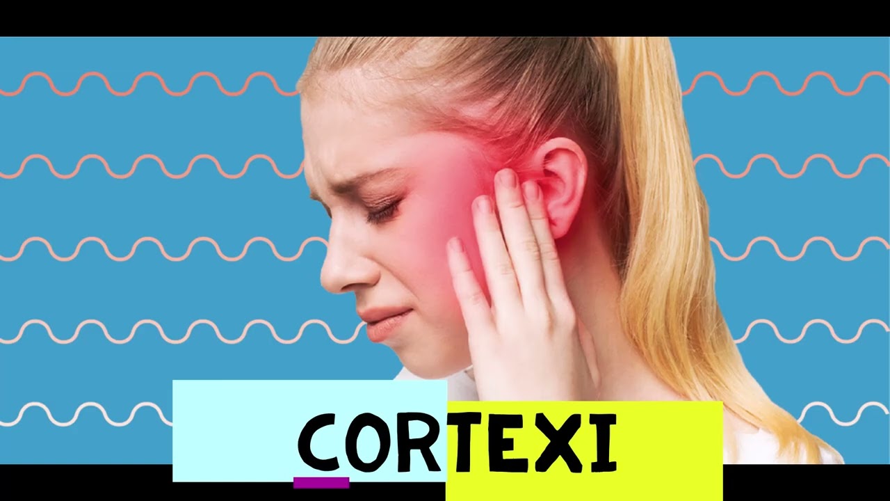 https://ghost4under.com/cortexi-reviews-2/