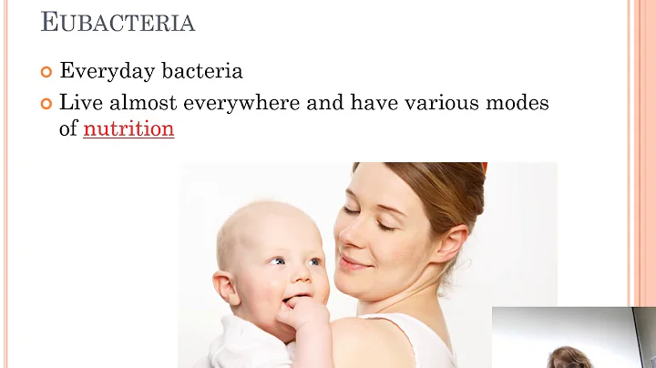 Bacteria for High School Biology
