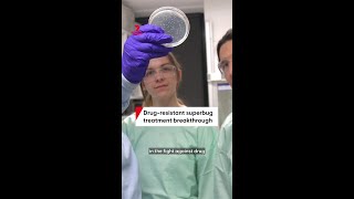Drug-resistant superbug treatment breakthrough