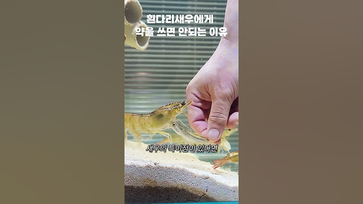해독 기능이 없어 아프면 답이 없는 흰다리새우