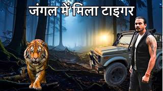 Jungle Camping | Tiger Spotted In Forest | Tiger Thriling Encounter