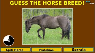 Guess the Horse BREED!? | Species Quiz #4 I Can You Name the Horse Breed from the picture? I screenshot 4