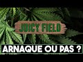 Larnaque la plus elabore sur internet   enqute sur juicy field