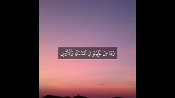 ﴿ وَإِنَّ رَبَّكَ لَيَعْلَمُ مَا تُكِنُّ صُدُورُهُمْ وَمَا يُعْلِنُونَ﴾ سورة النمل | إسلام صبحي 🤍.