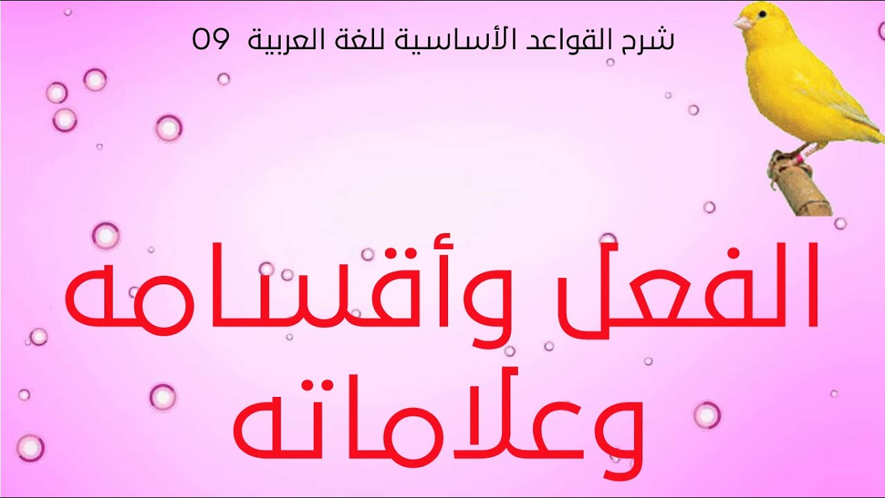 شرح القواعد الأساسية للغة العربية - الحلقة 09 - الفعل وأقسامه وعلاماته