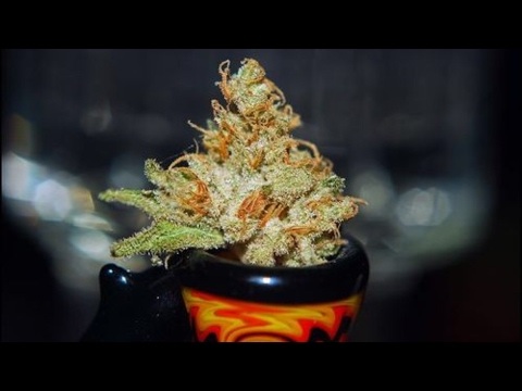 How To Pack A Bong Rip !