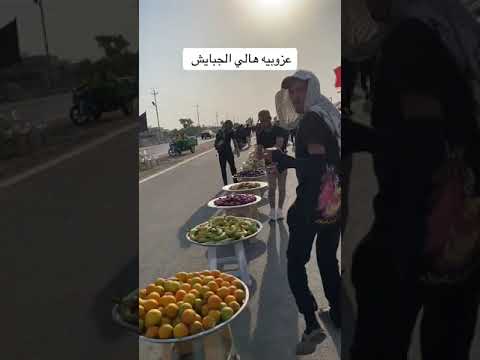 كل خطوة نمشيها الرادود خضر عباس بده بده لطميات محرم 2024 بده يلتم شملنا بده شيعه ويه سنه