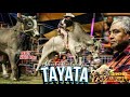Video de Santa Catarina Tayata