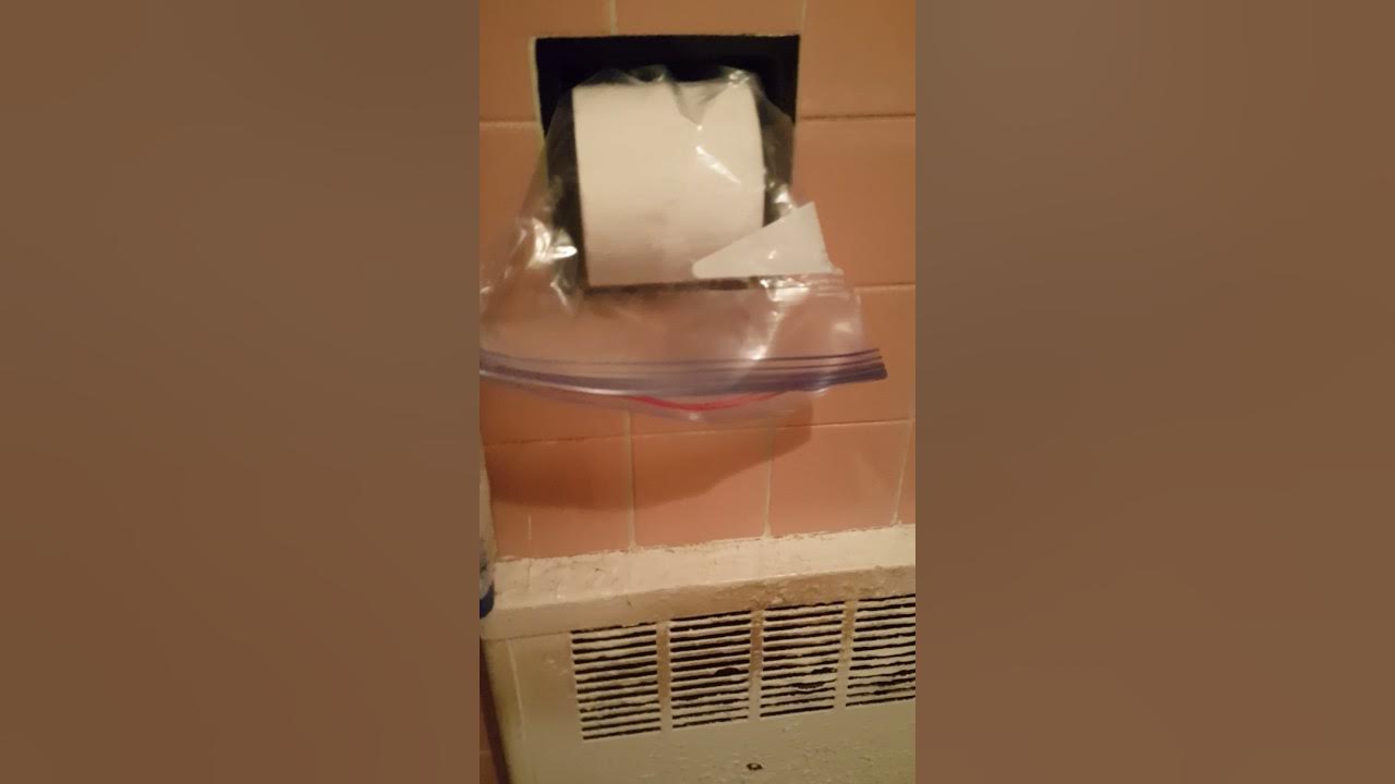 How To Stop Kittens/Cats From Unrolling Toilet Paper YouTube