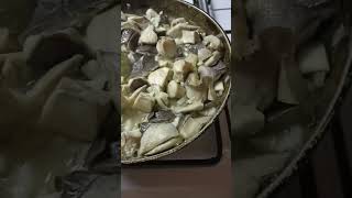 Свежие грибы вешанки на сковороде.