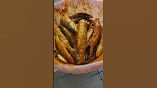 #special  fish fry wander fol