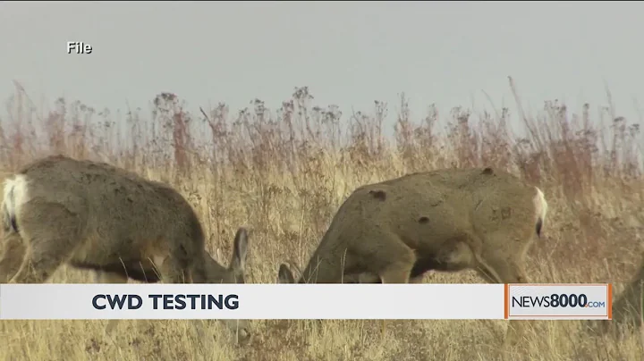 CWD testing can help hunters, Wisconsin DNR track disease