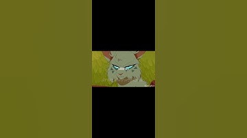 Just as soon as I d!e [#Bramblestar #hawkfrost #ashfur #hollyleaf #firestar #Tigerstar #bluestar]