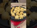 まろルクチャンネル｜オカメインコ “ まろ ” の日常。｜2025.03.10｜Shot On Apple iPhone 15 Pro Max｜#shorts