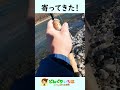 大物来たー！【トラウト・ルアー釣り】長野県犀川漁協管内