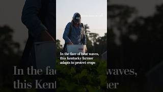 In the face of heat waves, this Kentucky farmer adapts to protect crops