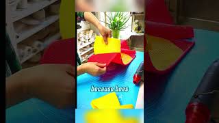 How Bees Know Exactly Where To Build