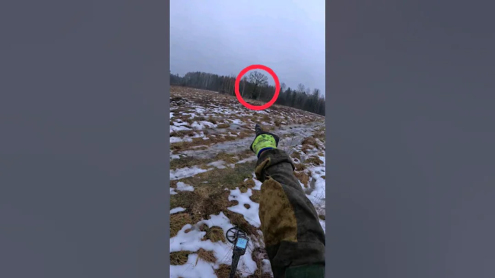 I knew there was something ancient hidden under this old tree and I found it!