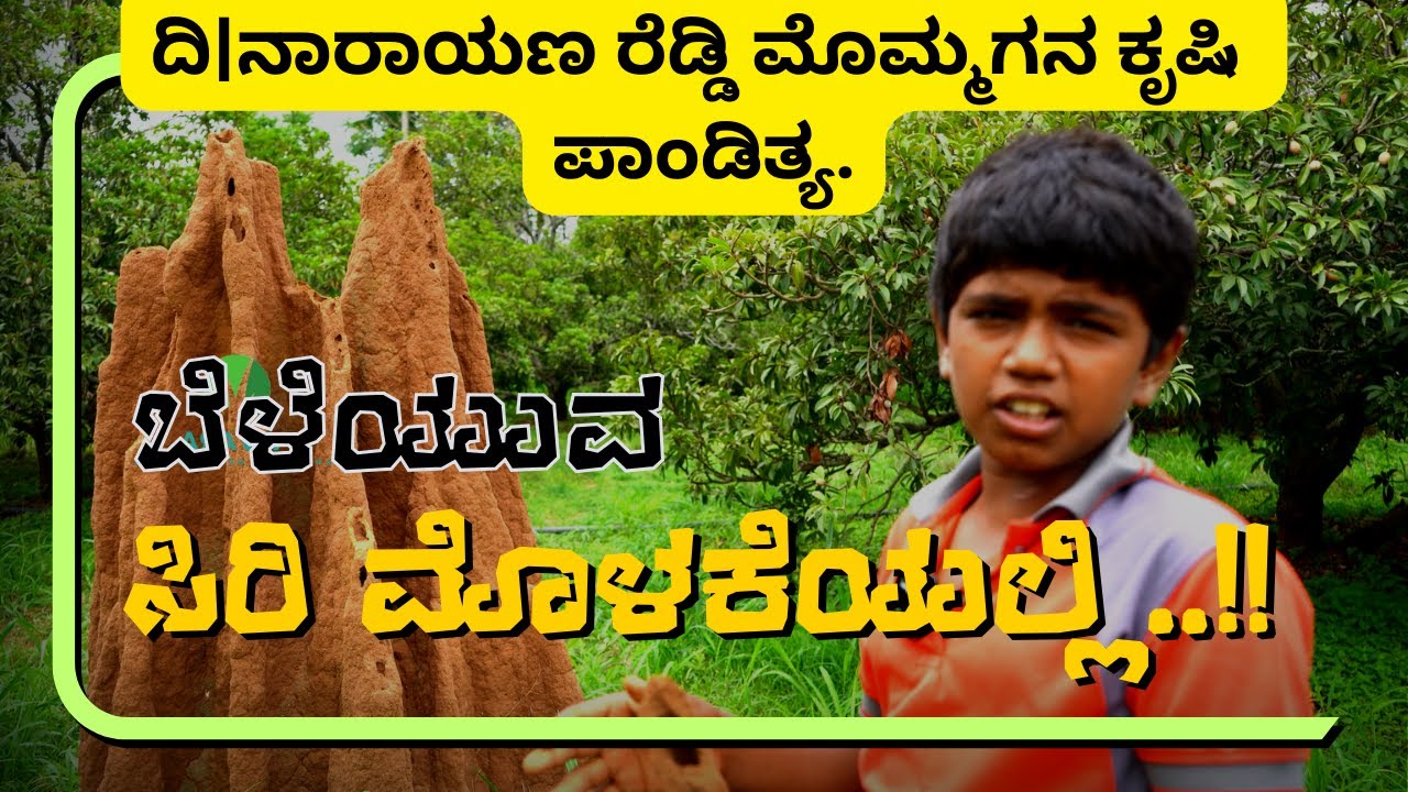 ಜೂನಿಯರ್ ನಾರಾಯಣ ರೆಡ್ಡಿ, ತಾತನಿಗೆ ತಕ್ಕ ಮೊಮ್ಮಗ 