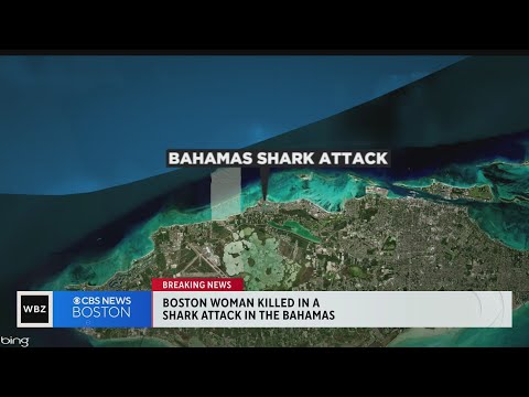 Boston woman killed in shark attack in the Bahamas