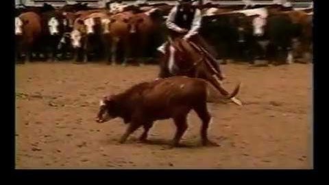 RDVideo - 1993 NCHA Futurity Open Final