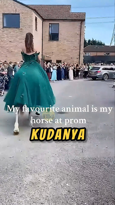 KUDA Ini Bikin HEBOH di Sekolah❗😂#kuda #lucu #videoshort