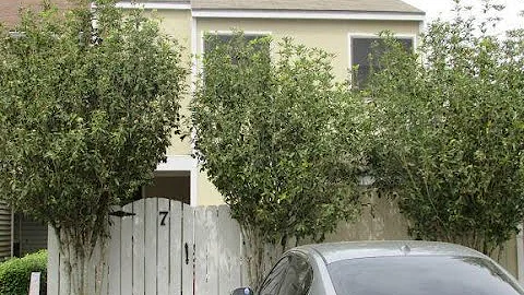 Tour video of listing at 7 Larkspur Lane, Lafayette, LA 70507 - Residential for sale