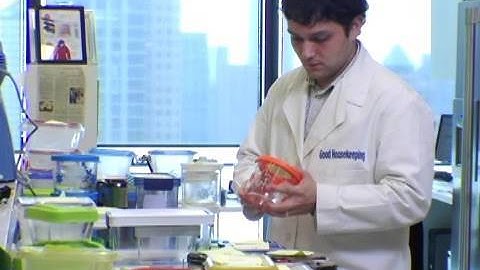 Best Food Storage Containers